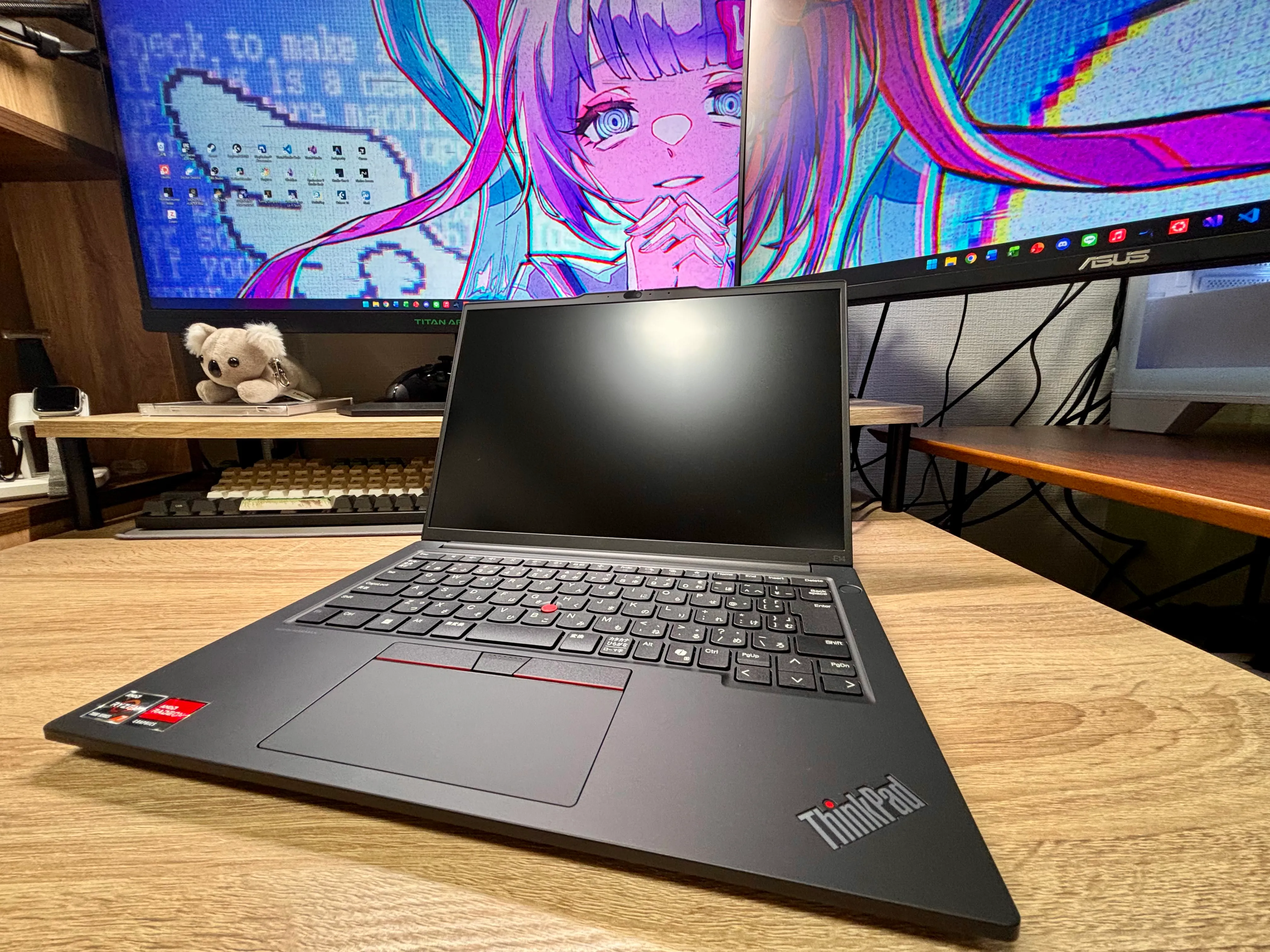 ThinkPad